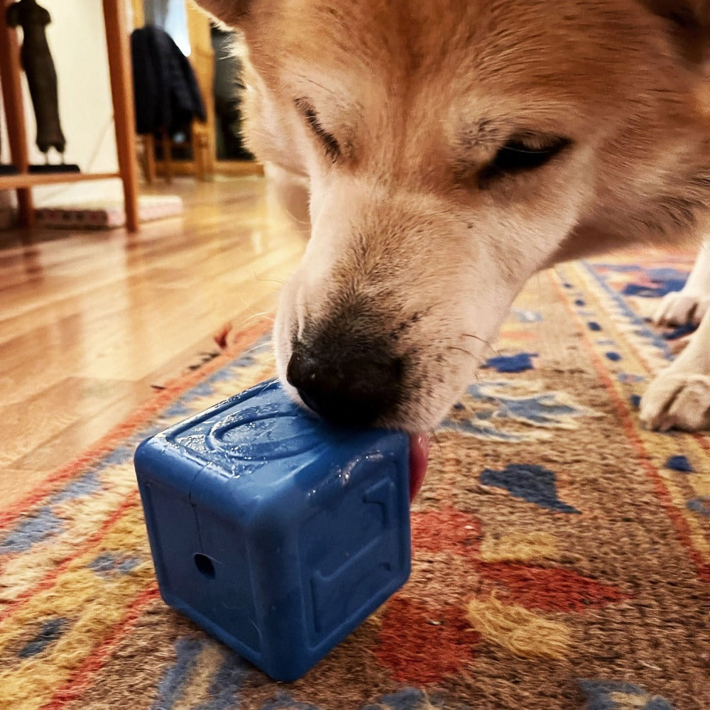 Love Cube eDispenser - Durable Rubber Chew Toy & Treat Dispenser | USA Made Rubber Dog Toys SodaPup/True Dogs, LLC