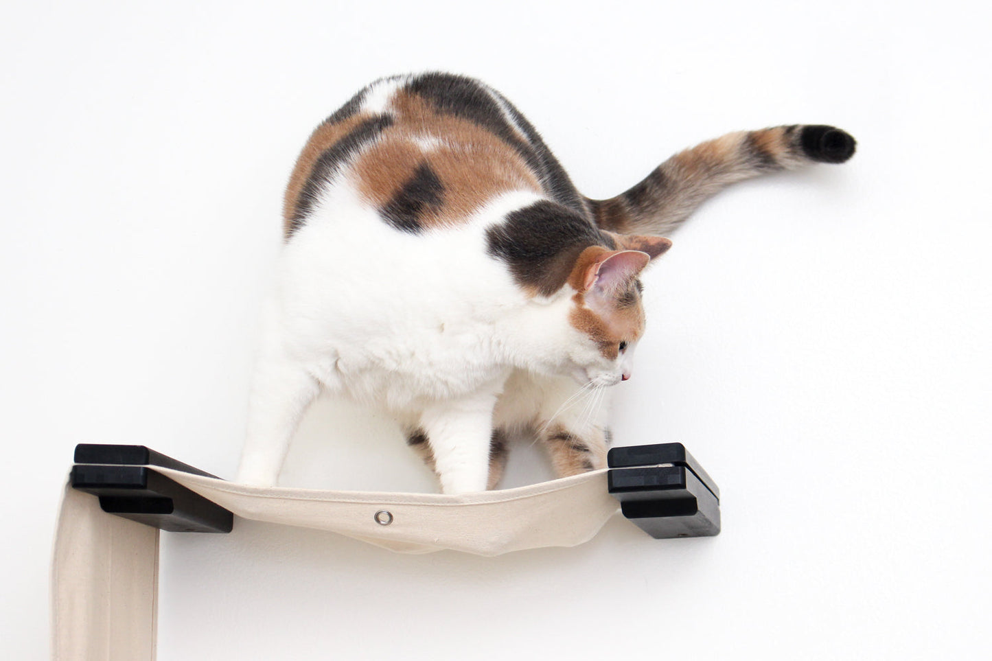 The Play - A Cat Play Wall System Cat Condo Catastrophic Creations