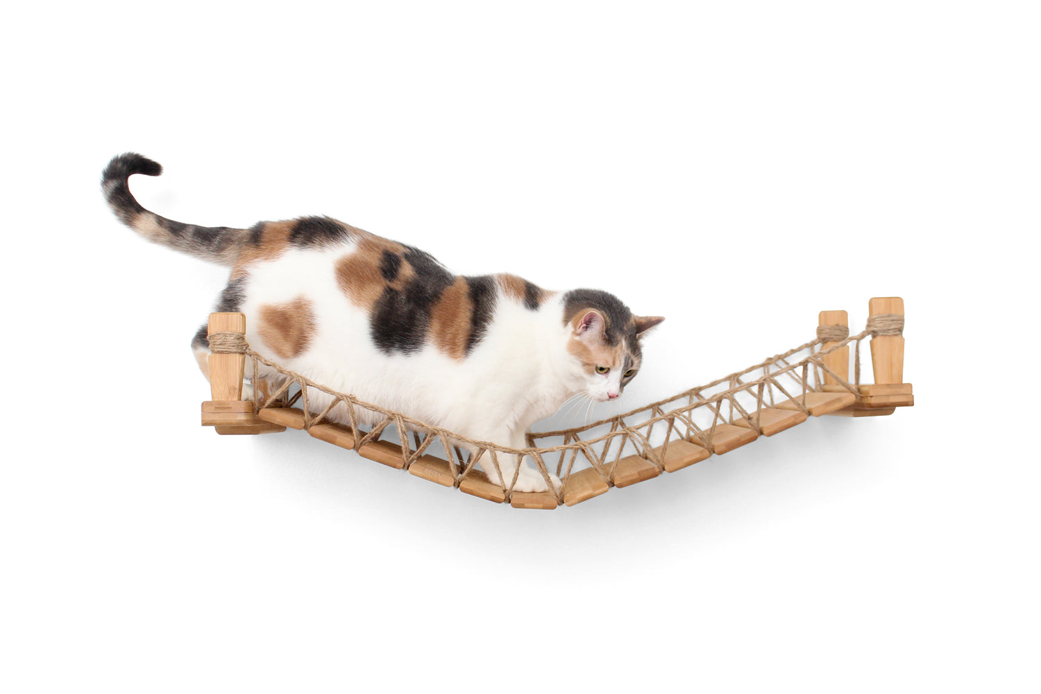 Cat Bridge for Wall Cat Bridge Catastrophic Creations