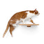 Cat Perch - Wall Mounted and Wooden Cat shelves/bed Catastrophic Creations