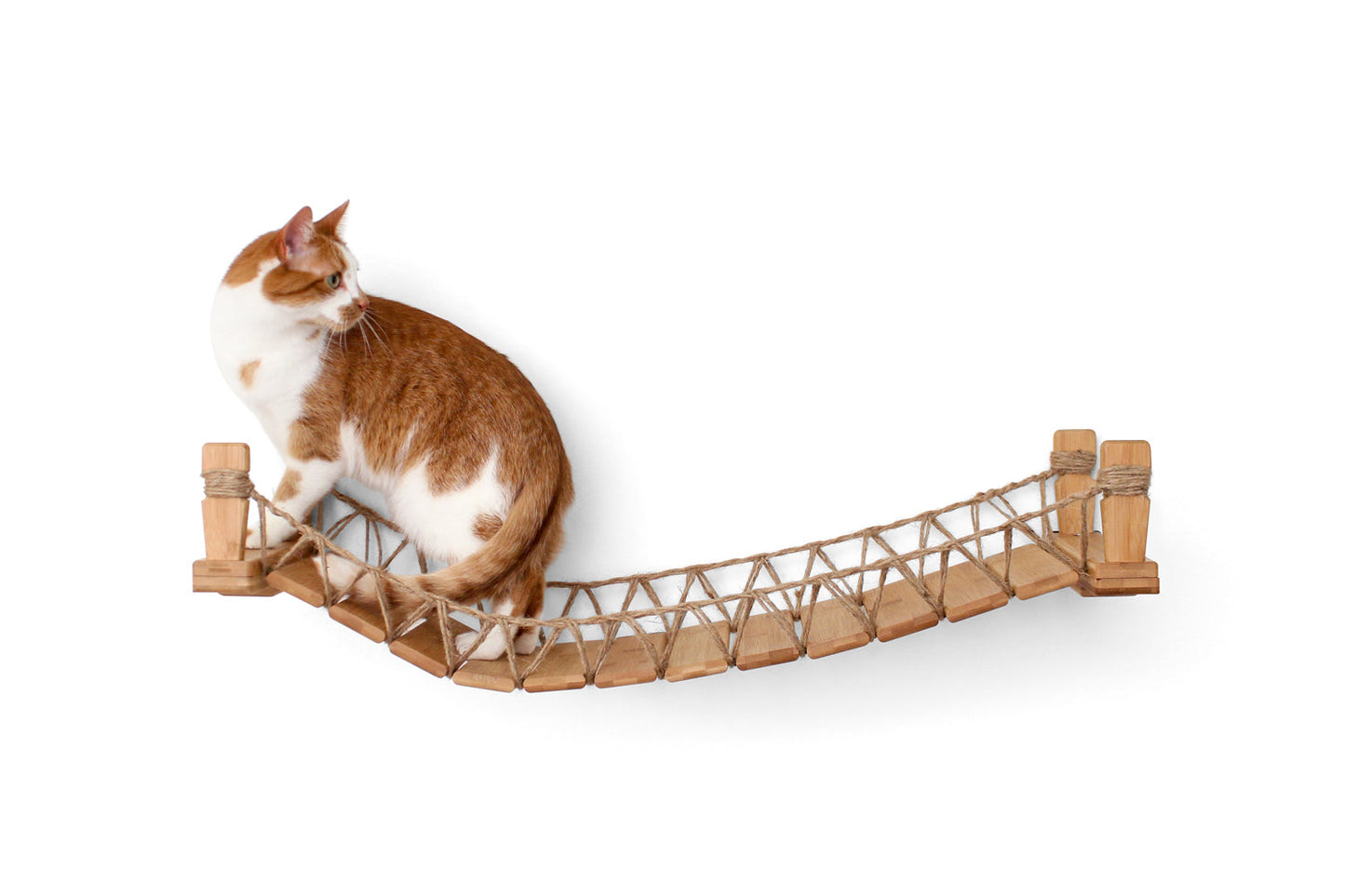 Cat Bridge for Wall Cat Bridge Catastrophic Creations