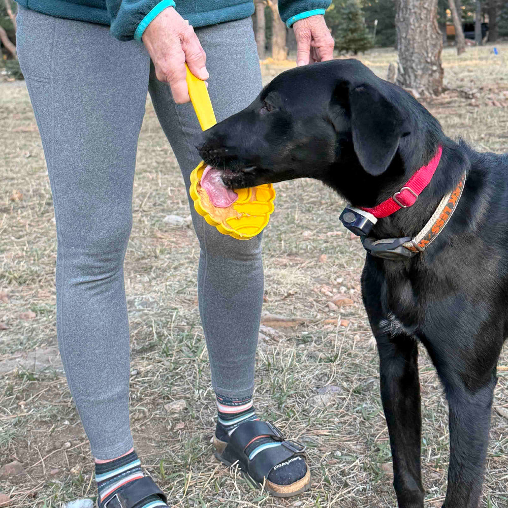 Lick Stick Hand-Held Dog Enrichment Toy - Interactive Lick Stick | USA Made EMAT SodaPup/True Dogs, LLC