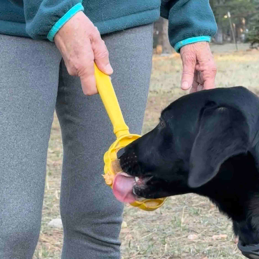 Lick Stick Hand-Held Dog Enrichment Toy - Interactive Lick Stick | USA Made EMAT SodaPup/True Dogs, LLC