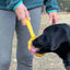eStick Hand-Held Dog Enrichment Toy - Interactive Lick Stick | USA Made EMAT SodaPup/True Dogs, LLC