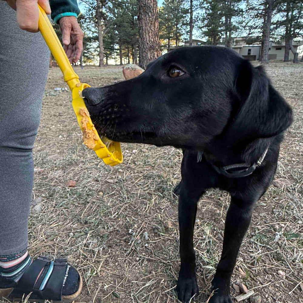 Lick Stick Hand-Held Dog Enrichment Toy - Interactive Lick Stick | USA Made EMAT SodaPup/True Dogs, LLC