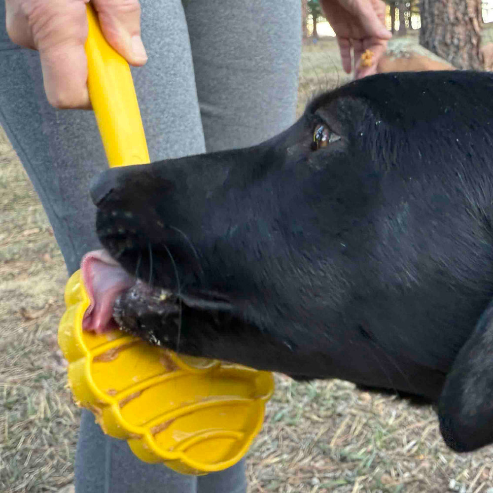 Lick Stick Hand-Held Dog Enrichment Toy - Interactive Lick Stick | USA Made EMAT SodaPup/True Dogs, LLC