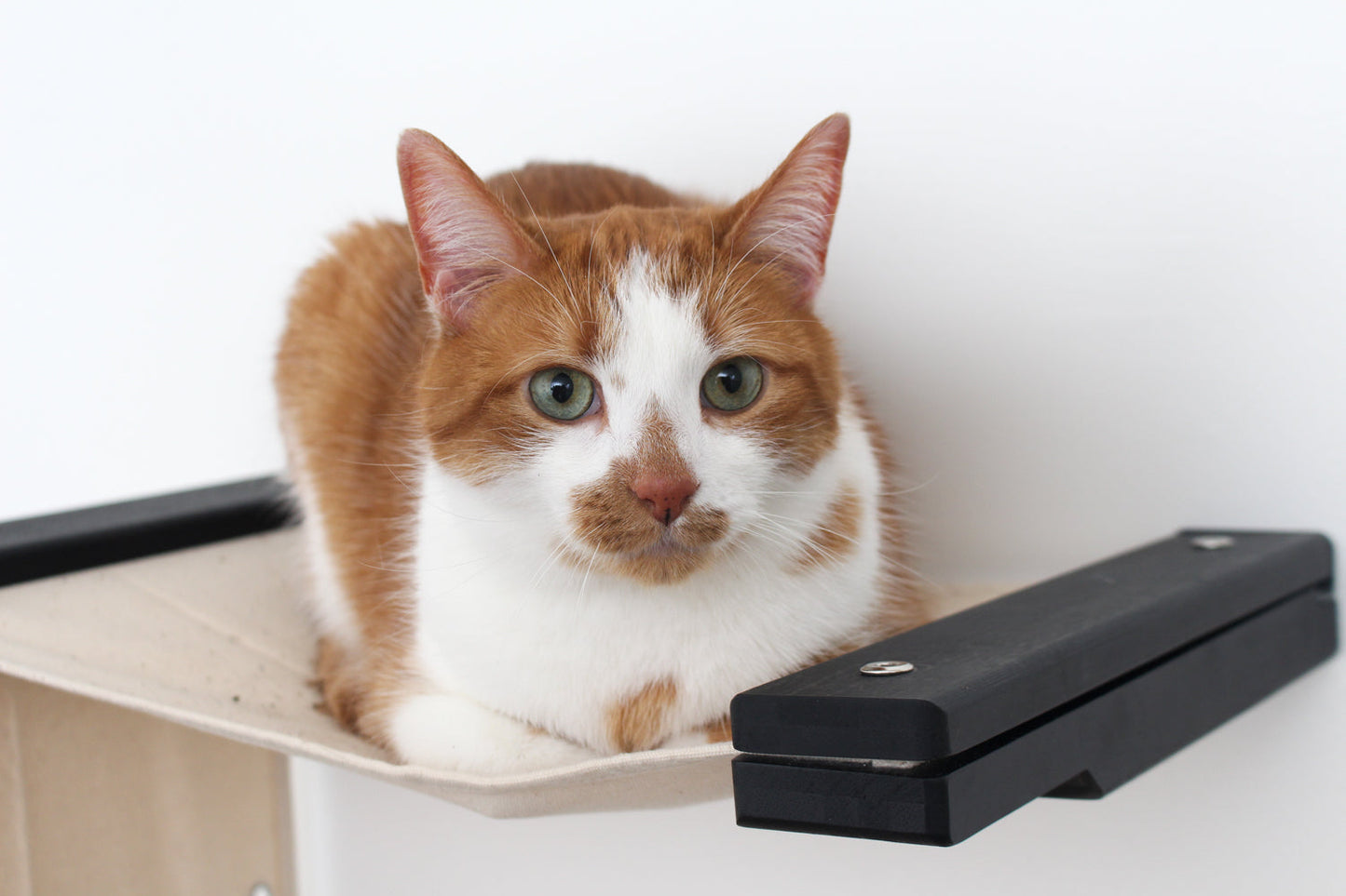 The Play - A Cat Play Wall System Cat Condo Catastrophic Creations