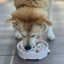 Java eBowl Deep Slow Feeder Dog Bowl for Enrichment | USA Made EBOWL SodaPup/True Dogs, LLC