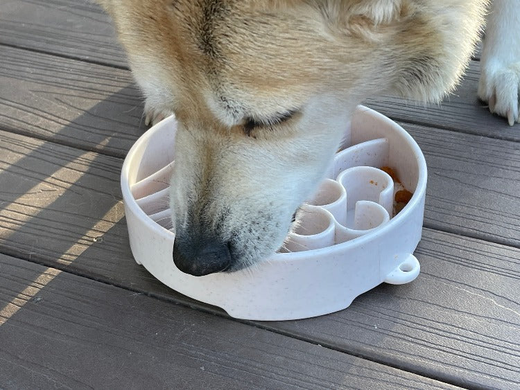 Java eBowl Deep Slow Feeder Dog Bowl for Enrichment | USA Made EBOWL SodaPup/True Dogs, LLC