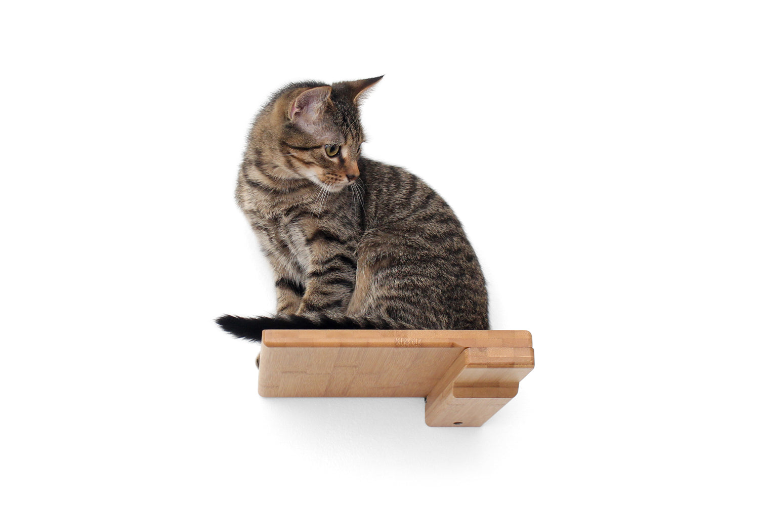 Cat Climbing Shelf Cat shelves/bed Catastrophic Creations