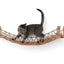 Cat Bridge for Wall Cat Bridge Catastrophic Creations
