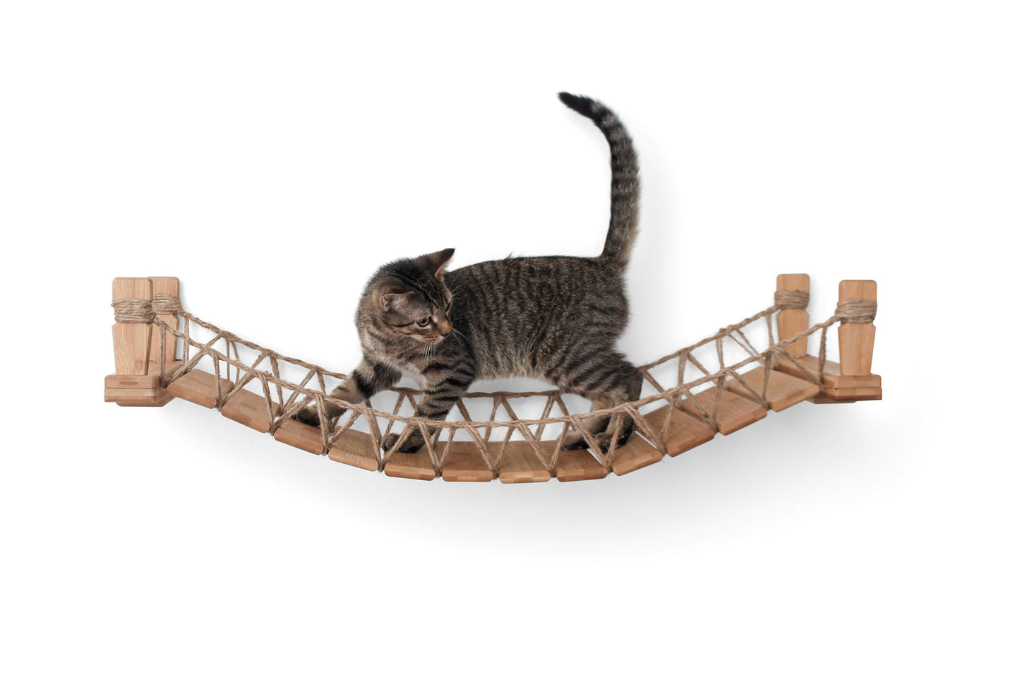 Cat Bridge for Wall Cat Bridge Catastrophic Creations