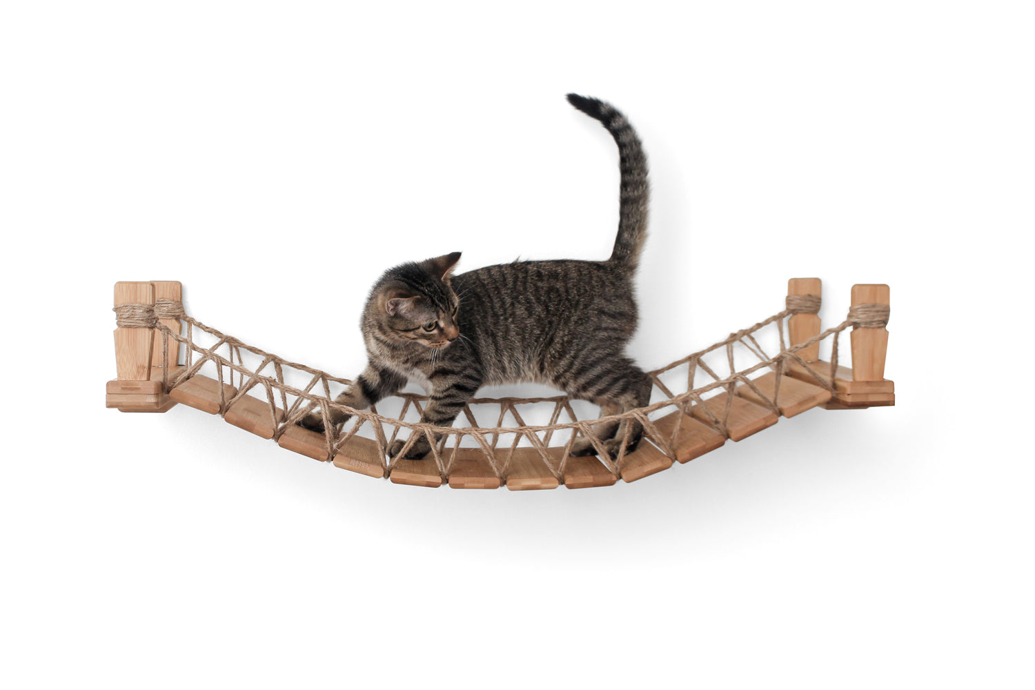 Cat Bridge for Wall Cat Bridge Catastrophic Creations