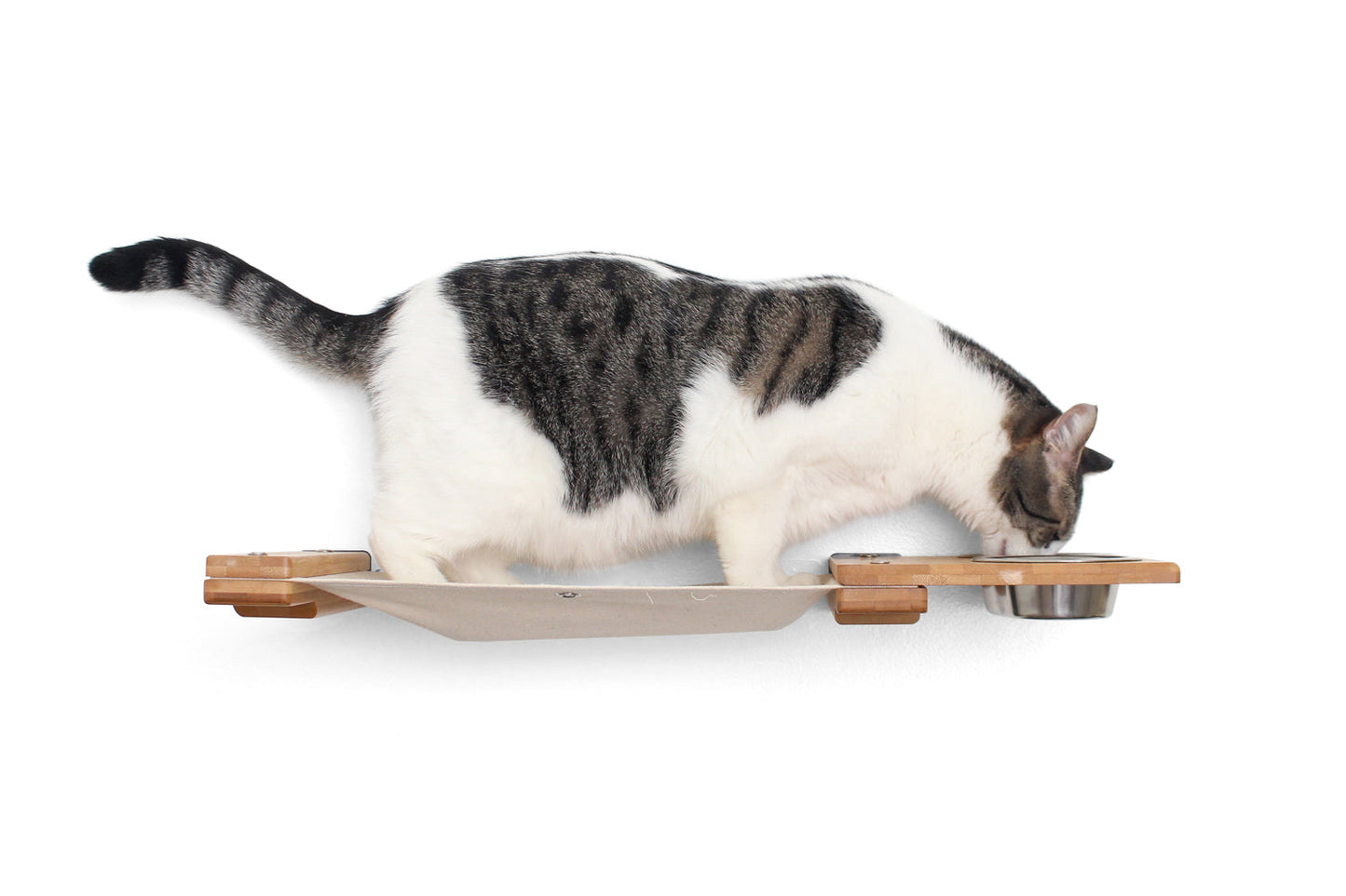 Dog Proof Cat Feeder - Wall-Mounted - Raised Cat Hammock Catastrophic Creations