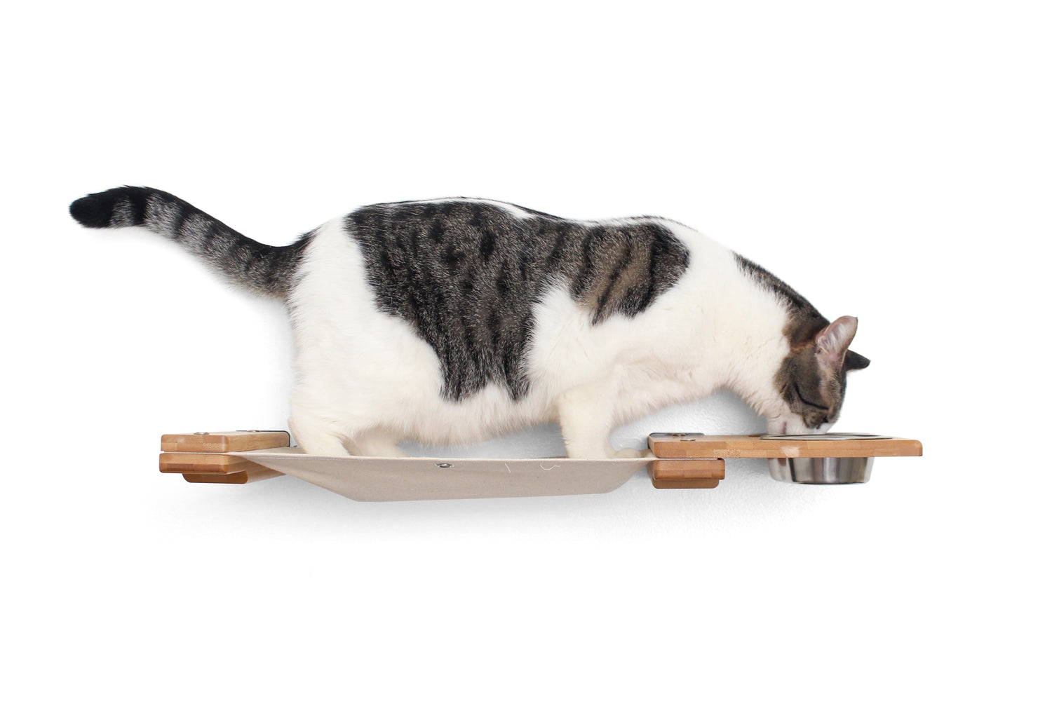 Dog Proof Cat Feeder - Wall-Mounted - Raised Cat Hammock Catastrophic Creations