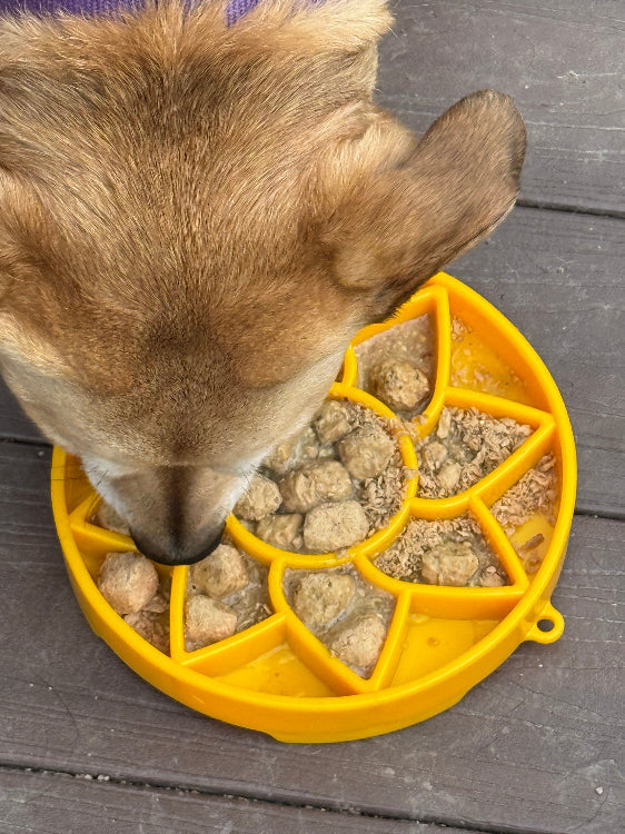 Sunflower Slow Feeder Dog Bowl - Shallow eTray Enrichment Lick Mat | USA Made ETRAY SodaPup/True Dogs, LLC