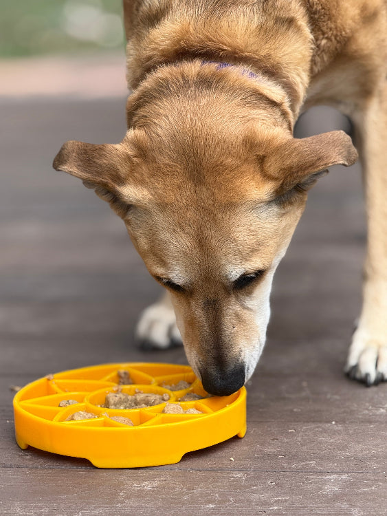 Sunflower Slow Feeder Dog Bowl - Shallow eTray Enrichment Lick Mat | USA Made ETRAY SodaPup/True Dogs, LLC