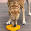 Sunflower Slow Feeder Dog Bowl - Shallow eTray Enrichment Lick Mat | USA Made ETRAY SodaPup/True Dogs, LLC