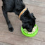 Garden Design eTray - Shallow Slow Feeder Dog Bowl for Enrichment | USA ETRAY SodaPup/True Dogs, LLC