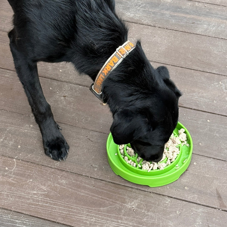 Garden Design eTray - Shallow Slow Feeder Dog Bowl for Enrichment | USA ETRAY SodaPup/True Dogs, LLC