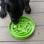 Garden Design eTray - Shallow Slow Feeder Dog Bowl for Enrichment | USA ETRAY SodaPup/True Dogs, LLC