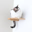 Cat Climbing Shelf Cat shelves/bed Catastrophic Creations