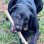 Durable Nylon Chew Stick for Power Chewers | Indestructible Dog Toy USA Nylon Dog Toys SodaPup/True Dogs, LLC