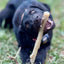 Durable Nylon Chew Stick for Power Chewers | Indestructible Dog Toy USA Nylon Dog Toys SodaPup/True Dogs, LLC