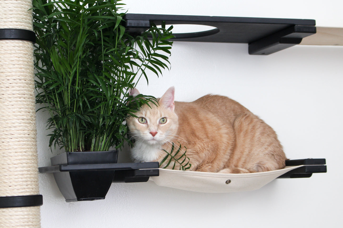 The Gardens - Modern Cat Tree with Plants Cat Condo Catastrophic Creations