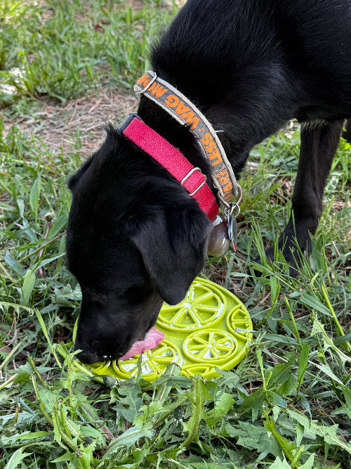 Citrus Design eMat - Enrichment Lick Mat with Suction Cups | USA Made EMAT SodaPup/True Dogs, LLC