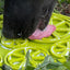 Citrus Design eMat - Enrichment Lick Mat with Suction Cups | USA Made EMAT SodaPup/True Dogs, LLC
