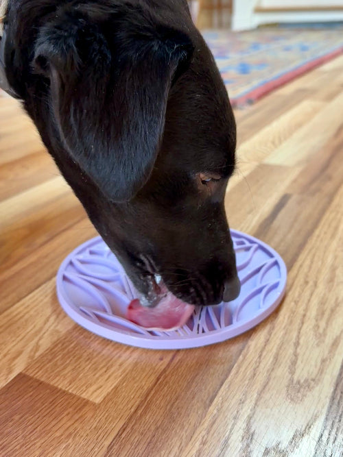 Tulip Design eMat - Enrichment Lick Mat with Suction Cups | USA Made EMAT SodaPup/True Dogs, LLC