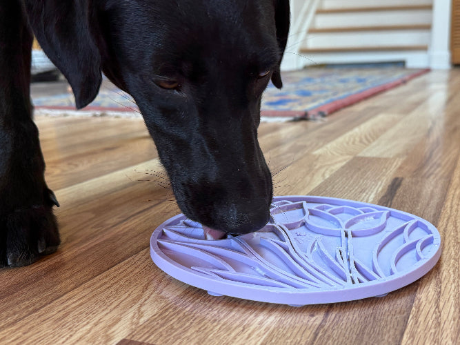 Tulip Design eMat - Enrichment Lick Mat with Suction Cups | USA Made EMAT SodaPup/True Dogs, LLC