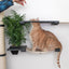 The Gardens - Modern Cat Tree with Plants Cat Condo Catastrophic Creations
