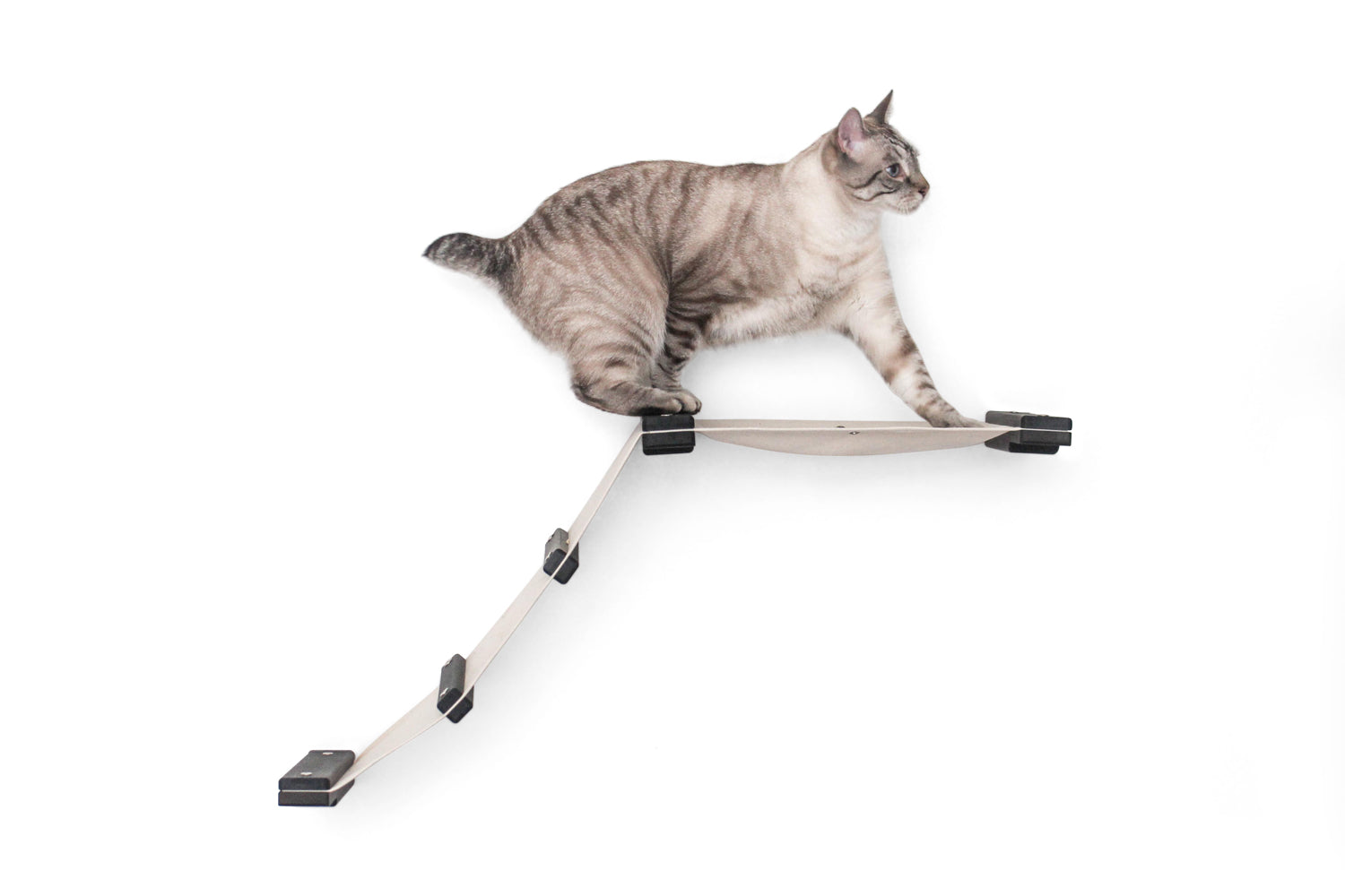 The Lift- Cat Hammock Bed Cat Hammock Catastrophic Creations