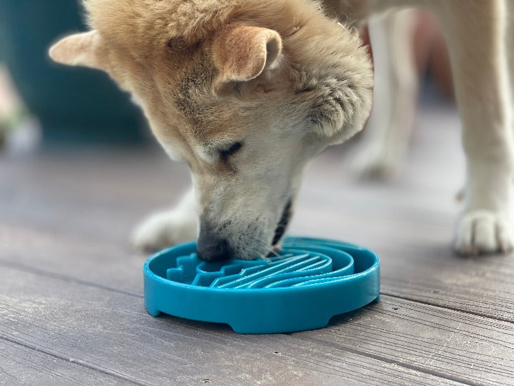Baja Design eTray - Shallow Slow Feeder Dog Bowl & Lick Mat | USA Made ETRAY SodaPup/True Dogs, LLC