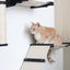 The Gardens - Modern Cat Tree with Plants Cat Condo Catastrophic Creations