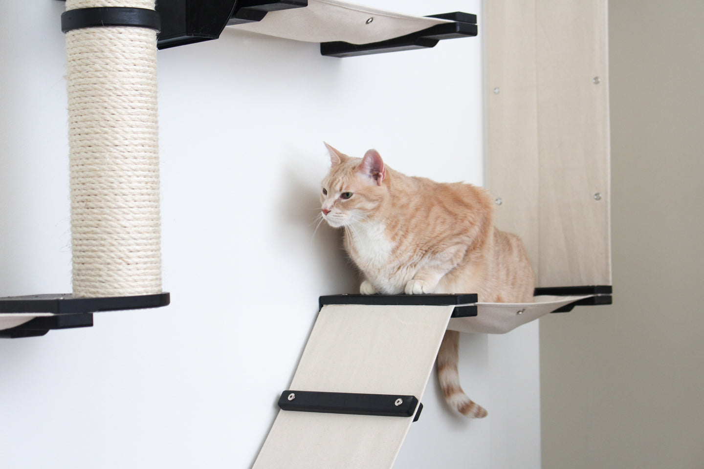 The Gardens - Modern Cat Tree with Plants Cat Condo Catastrophic Creations