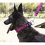Comfort Microfiber Flat Dog Collar Dog Collar Dogline