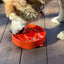 Great Outdoors eBowl - Slow Feeder Dog Bowl & Enrichment | USA Made EBOWL SodaPup/True Dogs, LLC