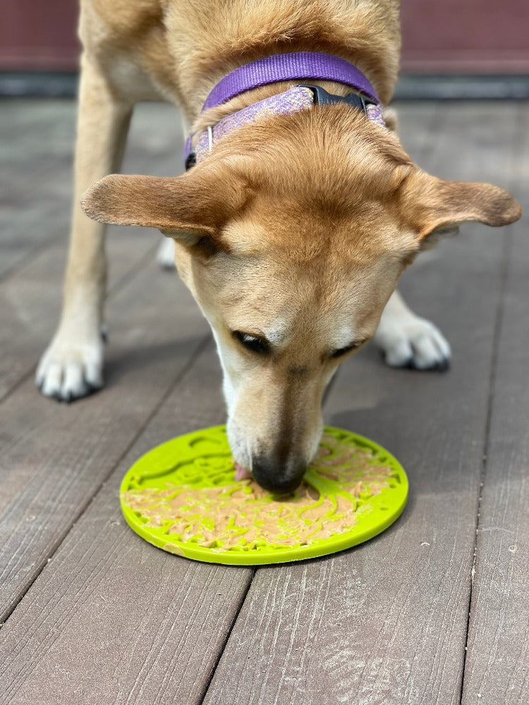 Tree of Life eMat - Enrichment Lick Mat For Dogs and Cats - With Suction Cups | Tree Design | USA Made EMAT SodaPup/True Dogs, LLC