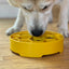Honeycomb eBowl Deep Slow Feeder Dog Bowl for Enrichment | USA Made EBOWL SodaPup/True Dogs, LLC
