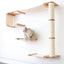 The Climb Condo - Cat Wall Climbing System Cat Condo Catastrophic Creations
