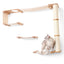 The Climb Condo - Cat Wall Climbing System Cat Condo Catastrophic Creations