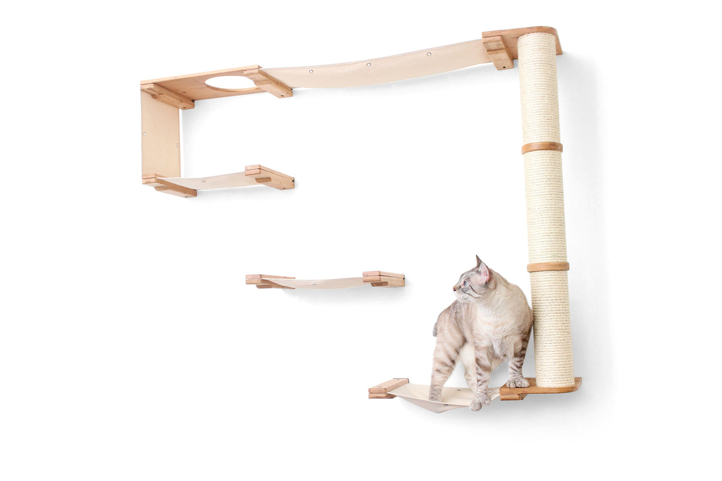 The Climb Condo - Cat Wall Climbing System Cat Condo Catastrophic Creations