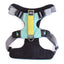 Everyday Adventure Dog Harness Riptide Teal HARNESS Alpha Pak
