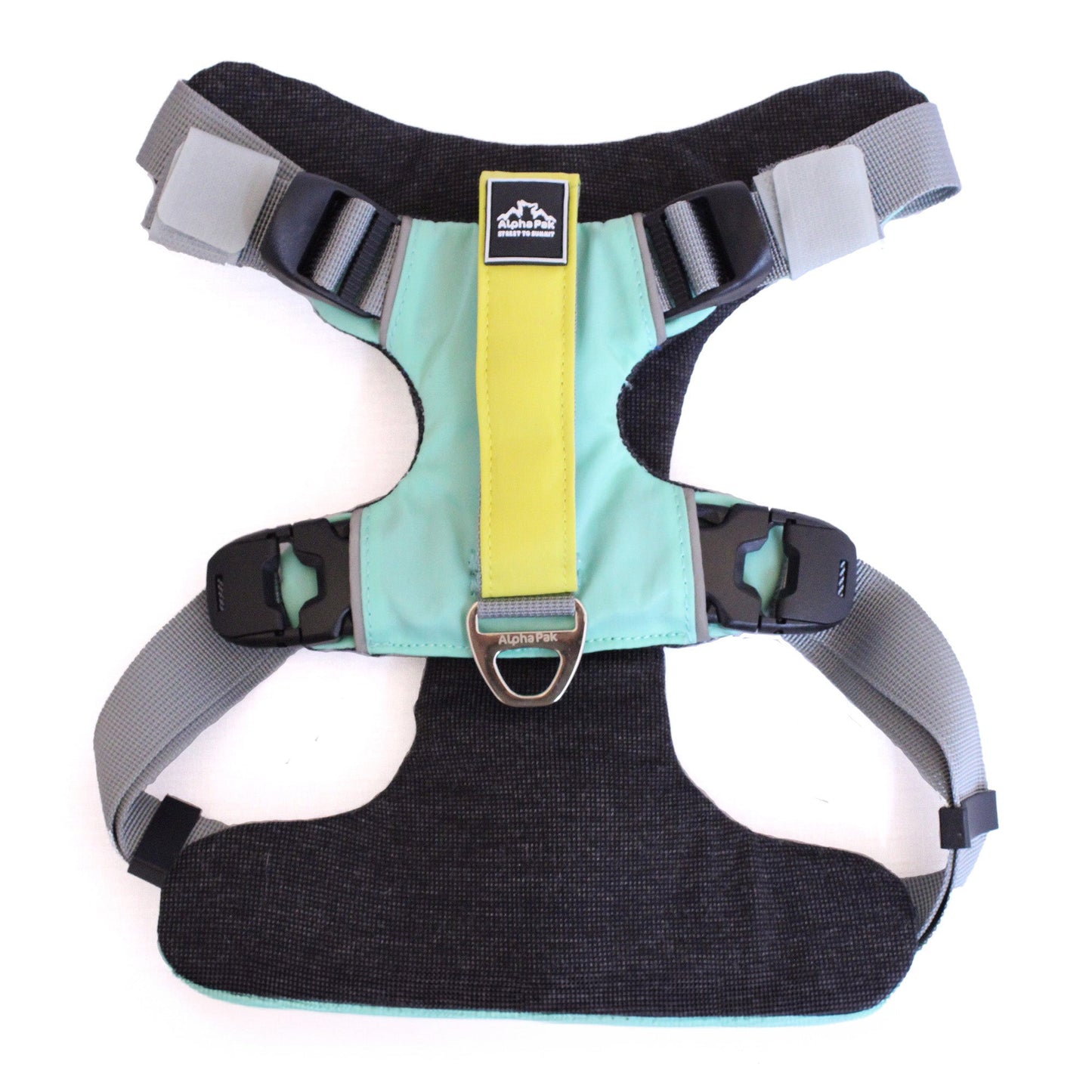 Everyday Adventure Dog Harness Riptide Teal HARNESS Alpha Pak