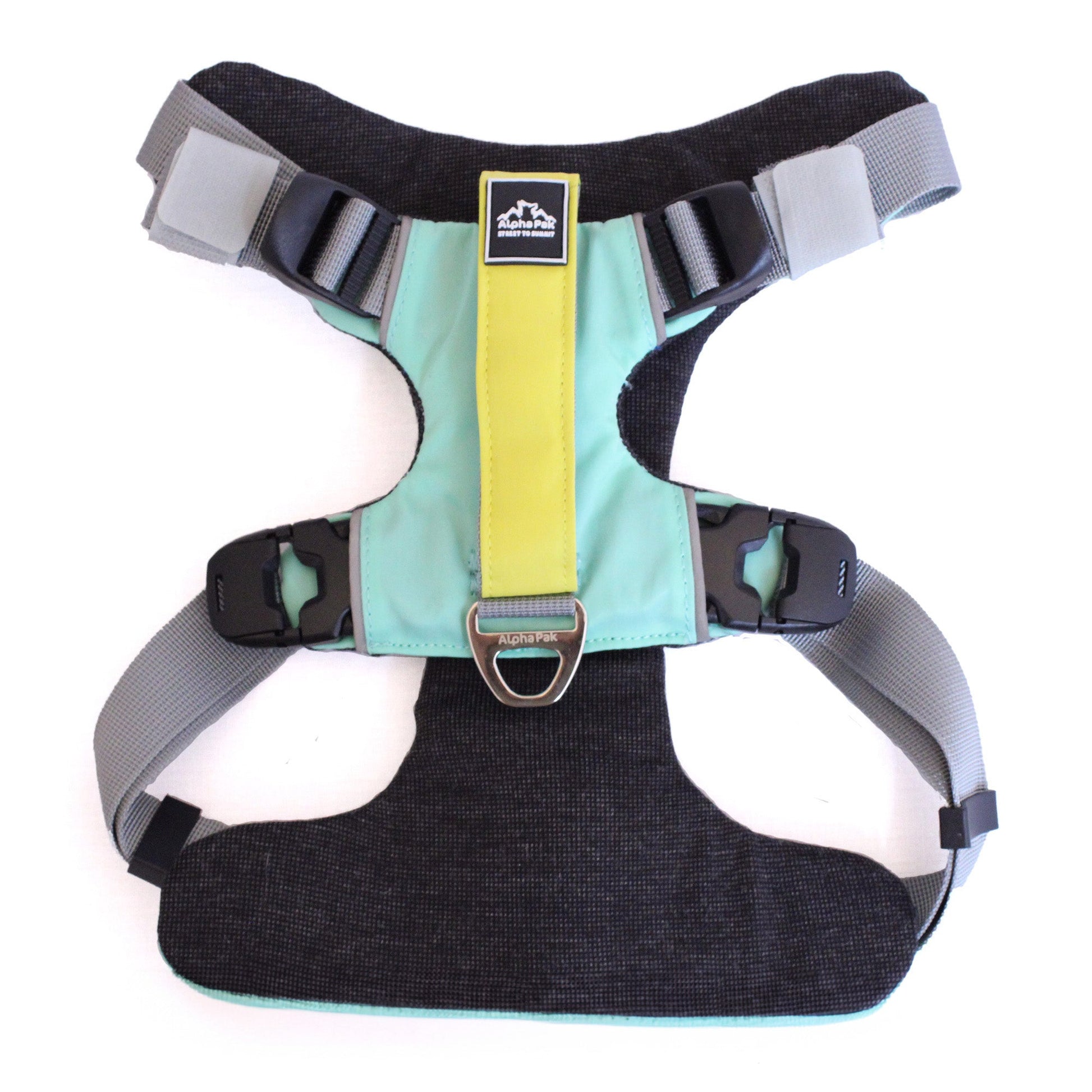 Everyday Adventure Dog Harness Riptide Teal HARNESS Alpha Pak