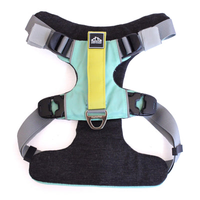 Everyday Adventure Dog Harness Riptide Teal HARNESS Alpha Pak