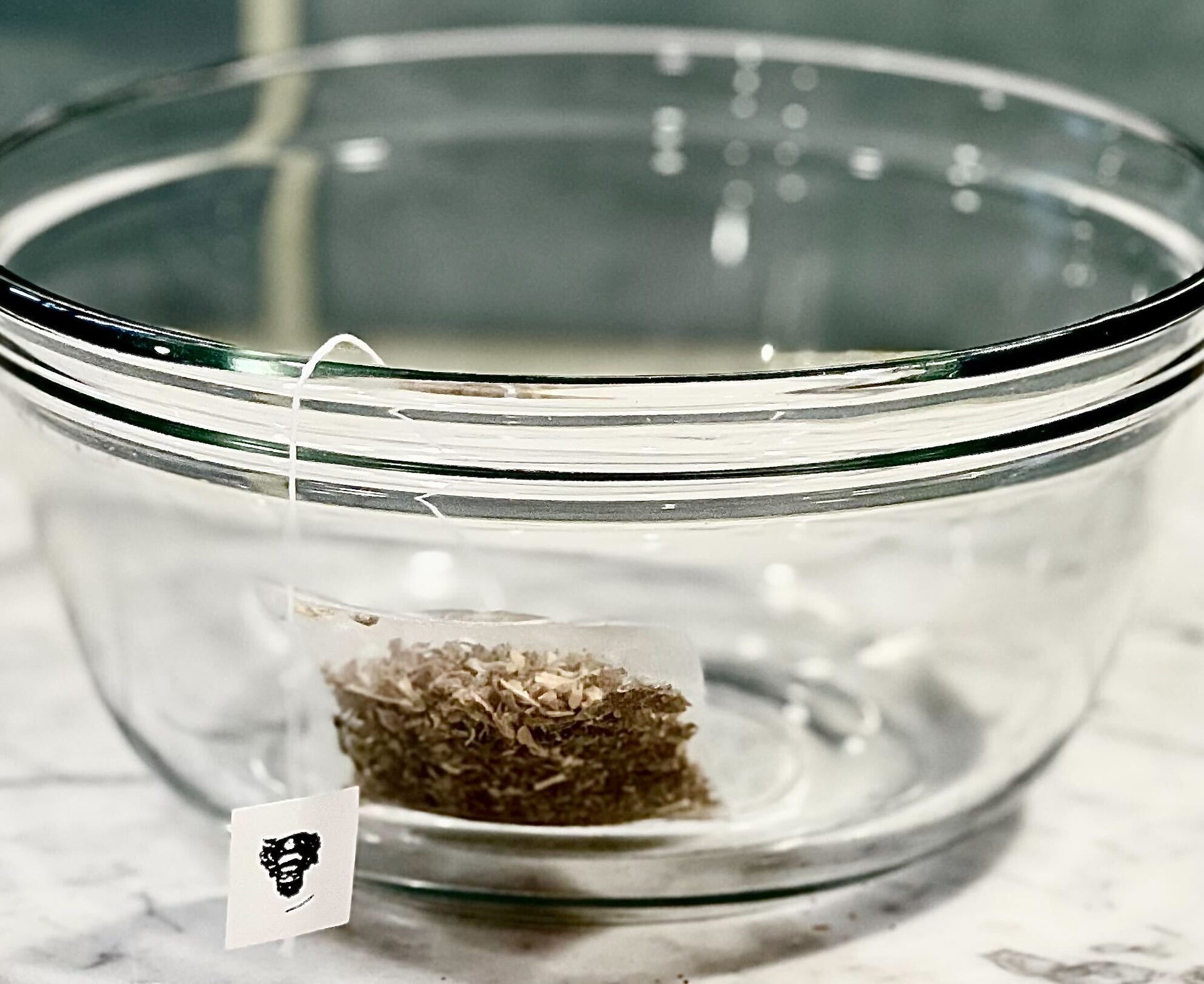 King Monty’s Kittea The Charleston Cat Groomer